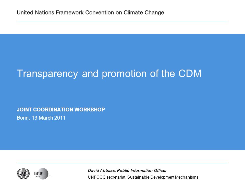 Transparency and promotion of the CDM