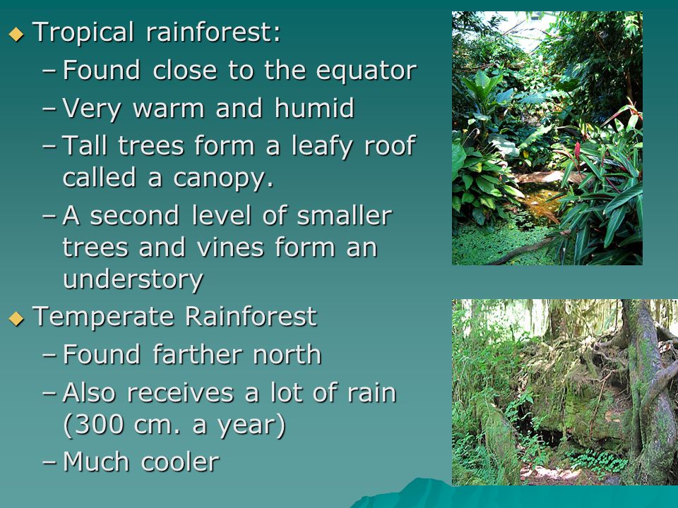 Tropical rainforest: Found close to the equator. Very warm and humid. Tall trees form a leafy roof called a canopy.