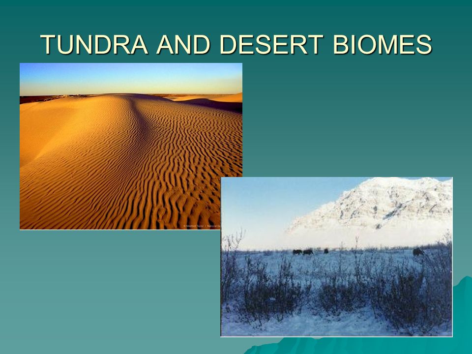 TUNDRA AND DESERT BIOMES