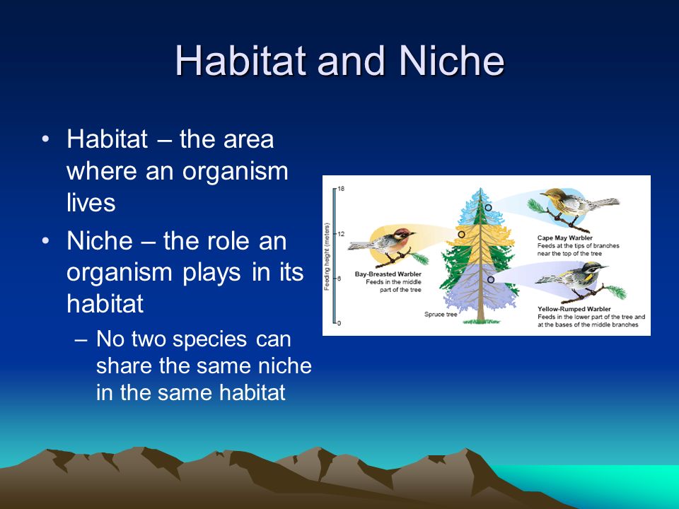 Habitat and Niche Habitat – the area where an organism lives