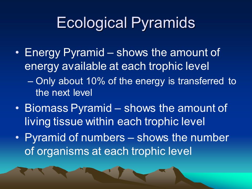 Ecological Pyramids Energy Pyramid – shows the amount of energy available at each trophic level.
