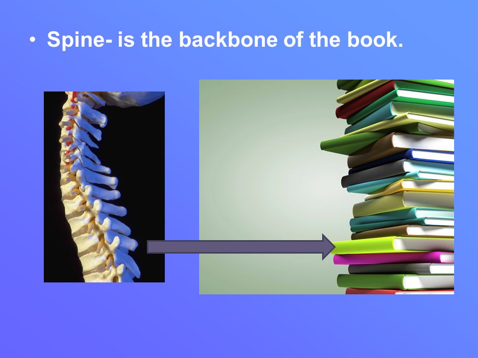 Spine- is the backbone of the book.