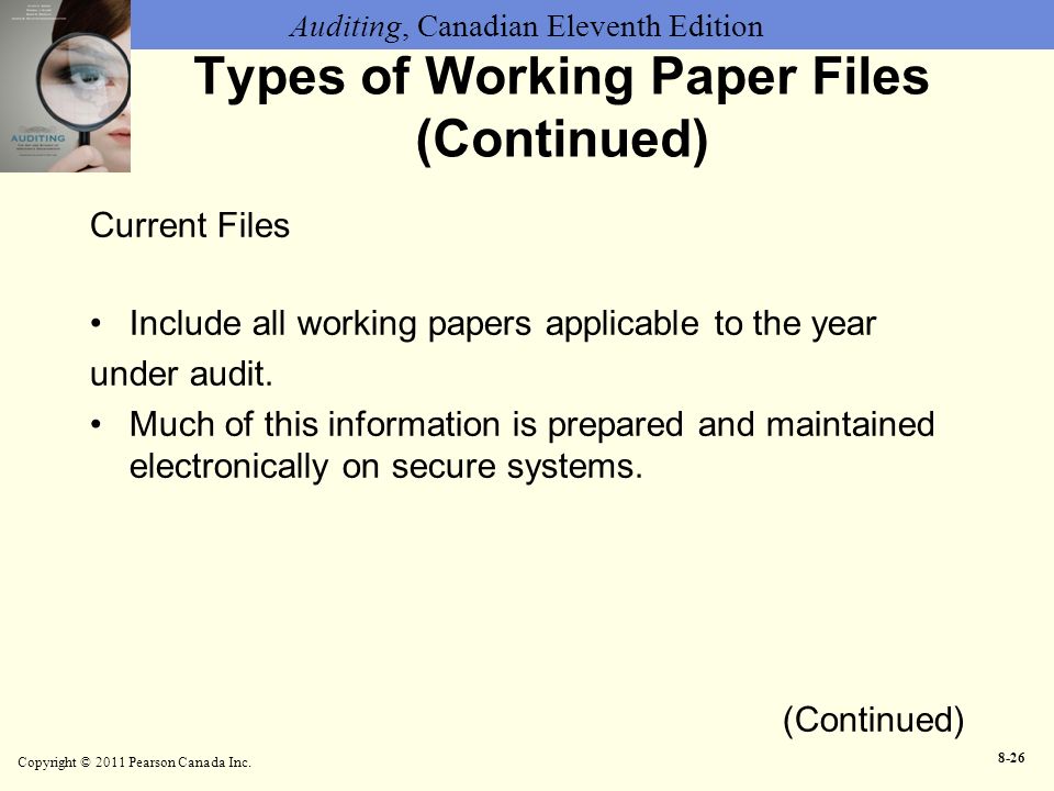 Types of Working Paper Files (Continued)
