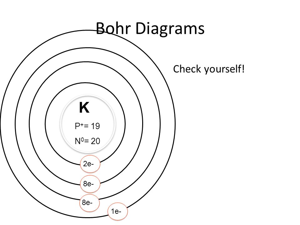 Bohr Diagrams Check yourself! K P+= 19 N0= 20 2e- 8e- 8e- 1e-