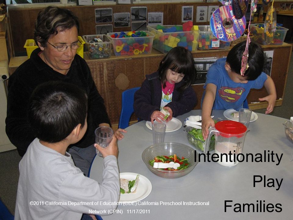 Three themes Intentionality Play Families