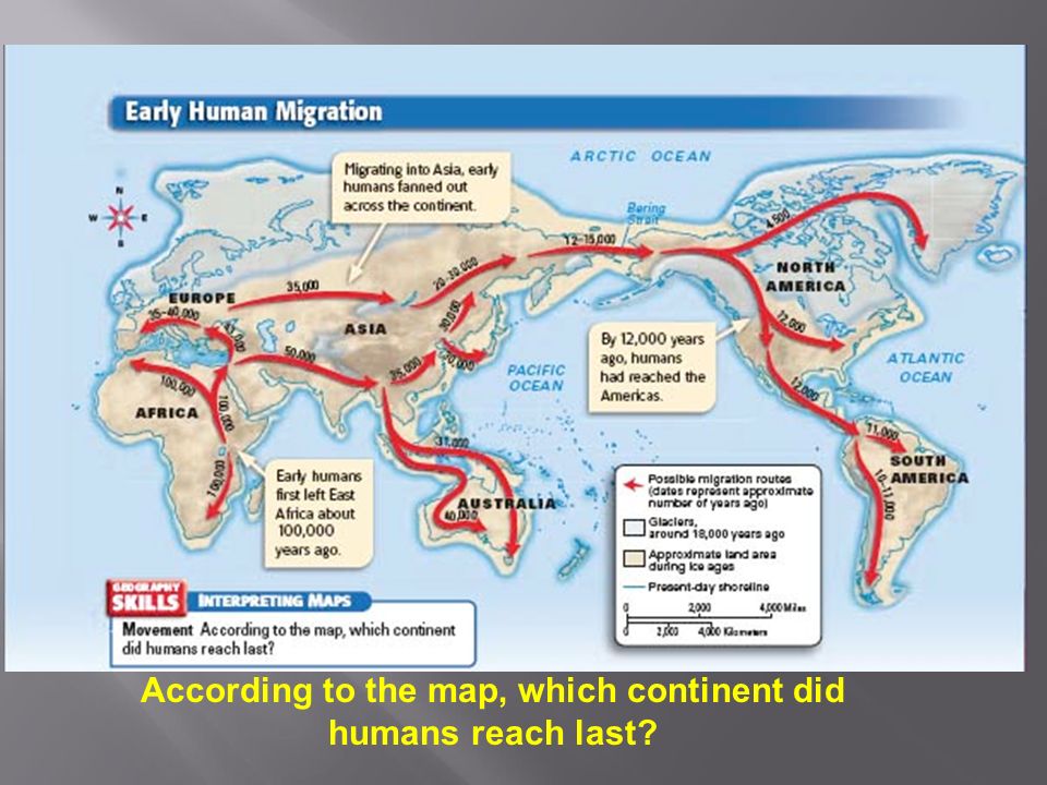 According to the map, which continent did humans reach last