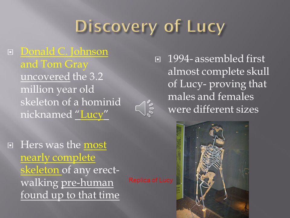 Discovery of Lucy Donald C. Johnson and Tom Gray uncovered the 3.2 million year old skeleton of a hominid nicknamed Lucy