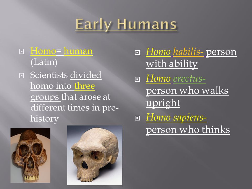 Early Humans Homo habilis- person with ability