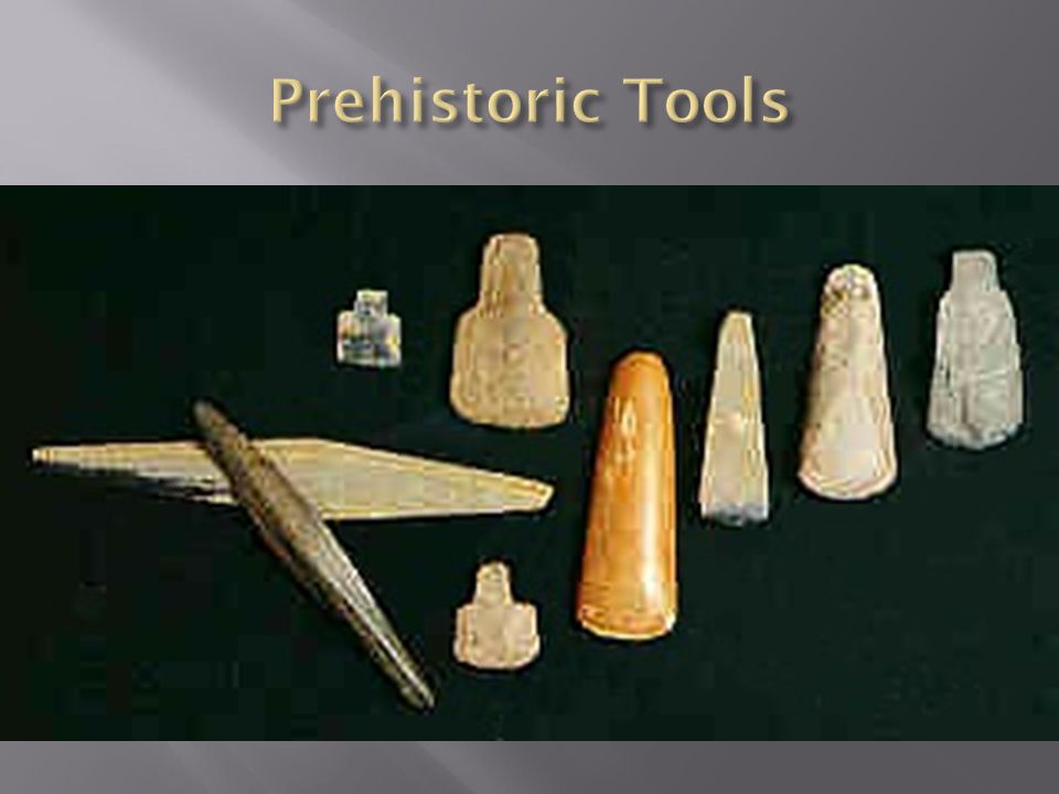 Prehistoric Tools