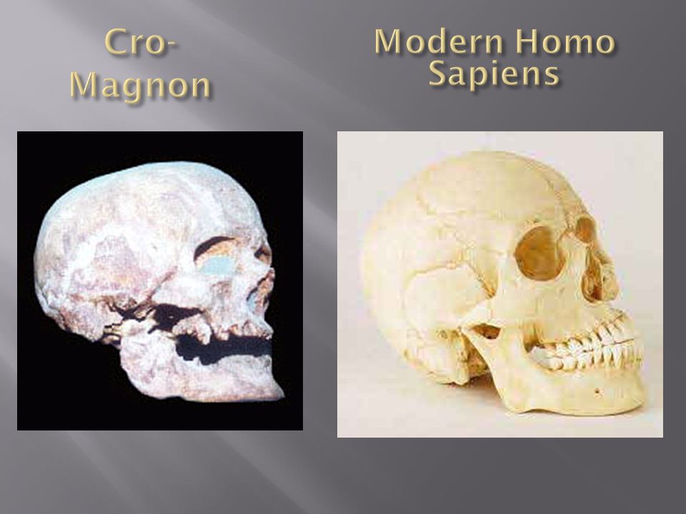 Cro-Magnon Modern Homo Sapiens