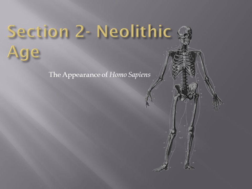 Section 2- Neolithic Age