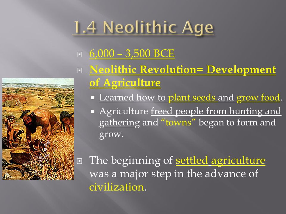 1.4 Neolithic Age 6,000 – 3,500 BCE. Neolithic Revolution= Development of Agriculture. Learned how to plant seeds and grow food.