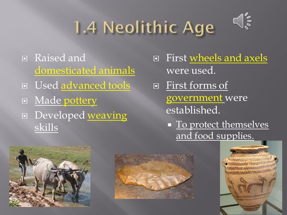 1.4 Neolithic Age Raised and domesticated animals Used advanced tools