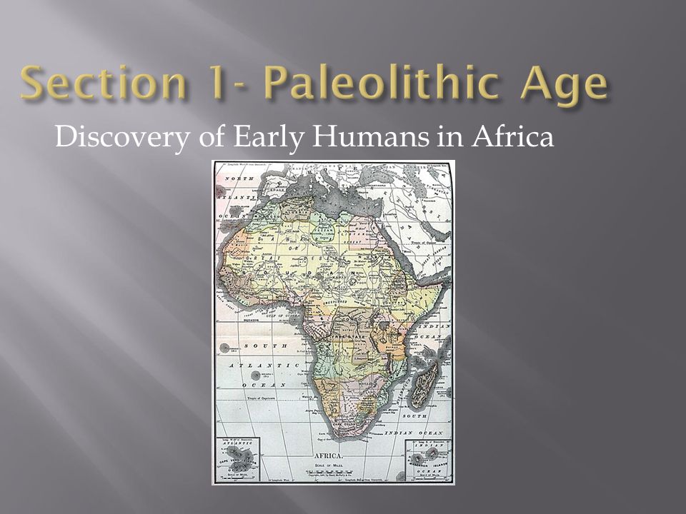 Section 1- Paleolithic Age
