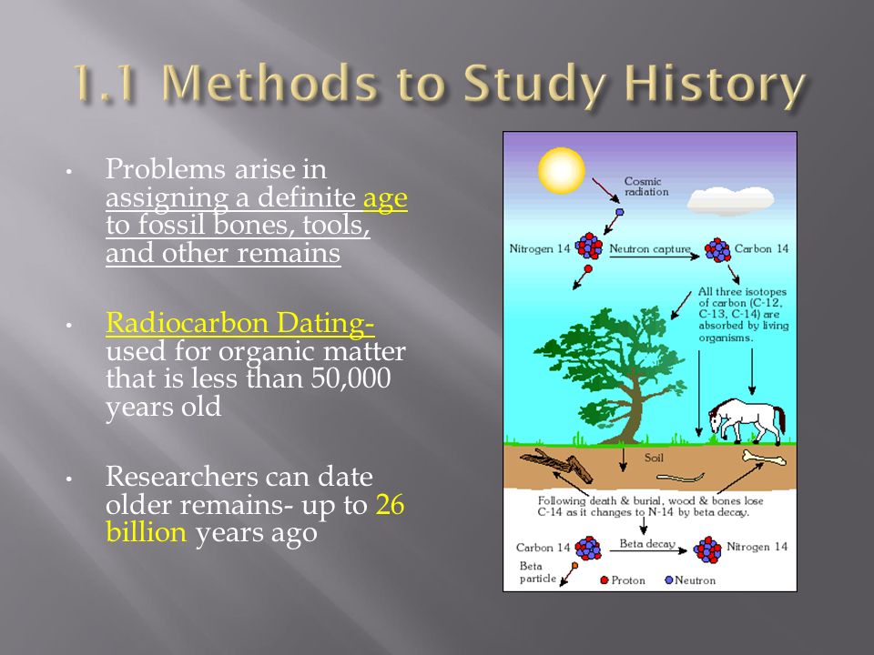 1.1 Methods to Study History