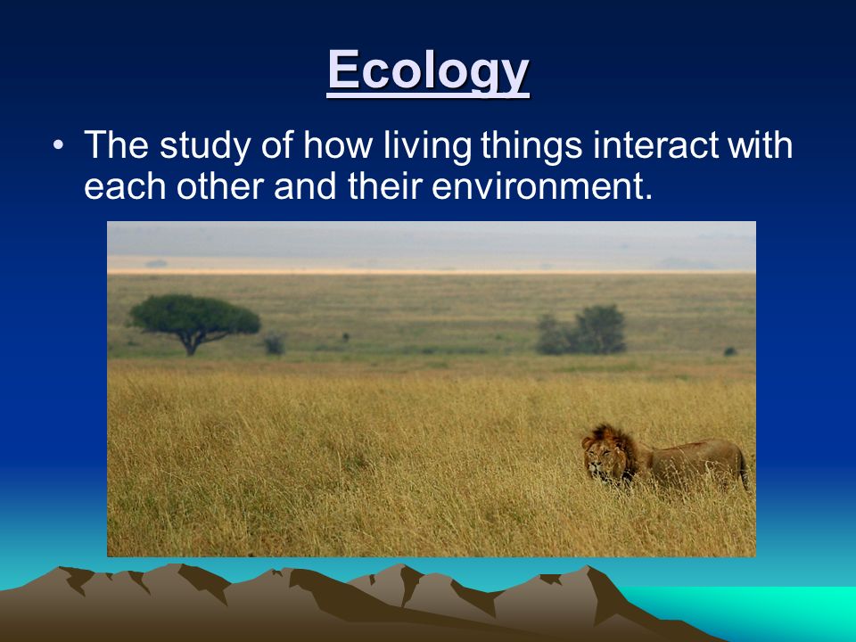 Ecology The study of how living things interact with each other and their environment.