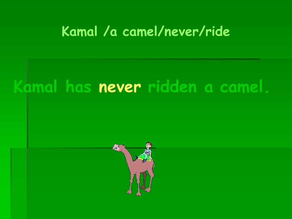 Kamal has never ridden a camel.