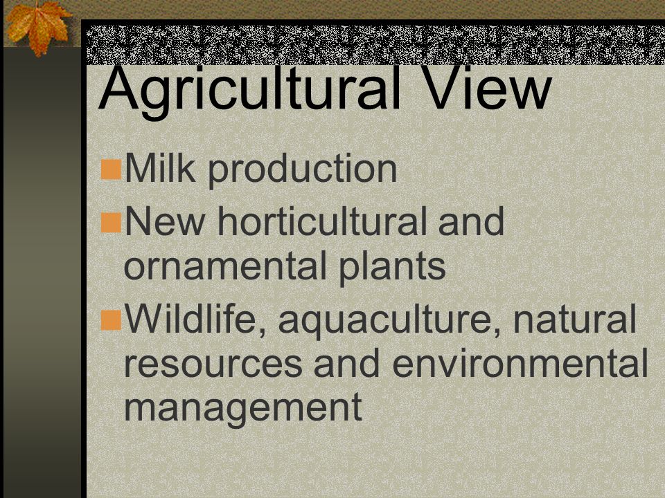 Agricultural View Milk production