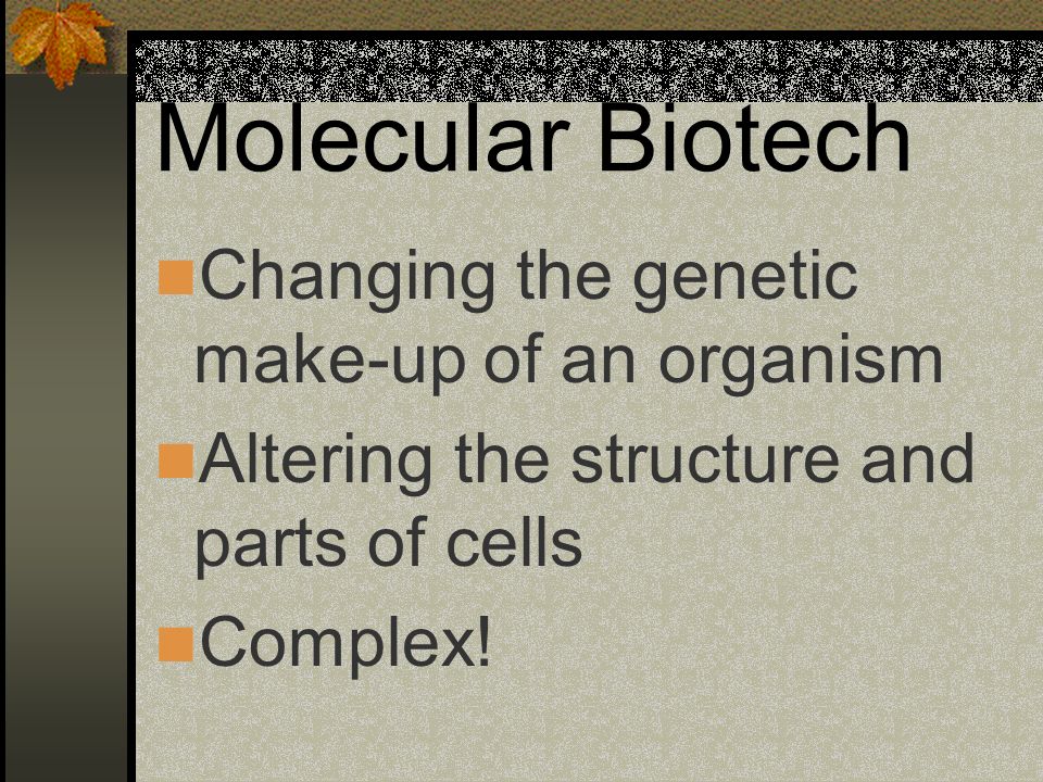 Molecular Biotech Changing the genetic make-up of an organism