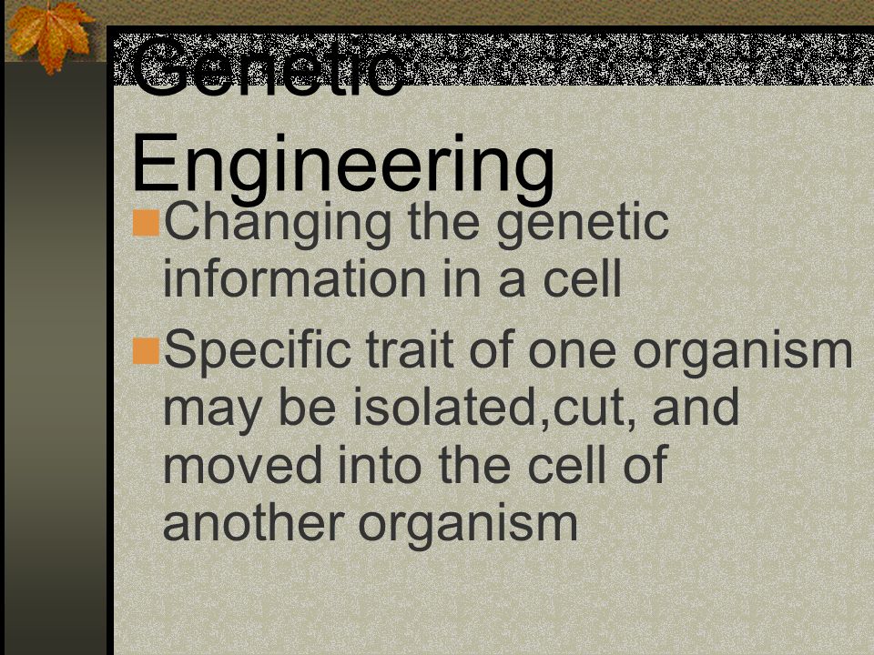 Genetic Engineering Changing the genetic information in a cell