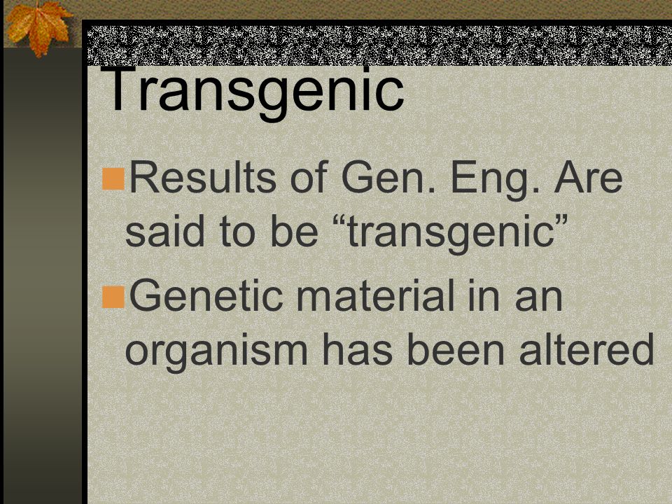 Transgenic Results of Gen. Eng. Are said to be transgenic