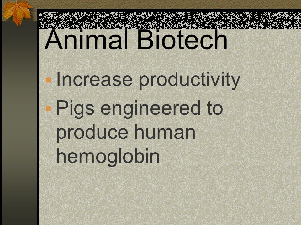 Animal Biotech Increase productivity