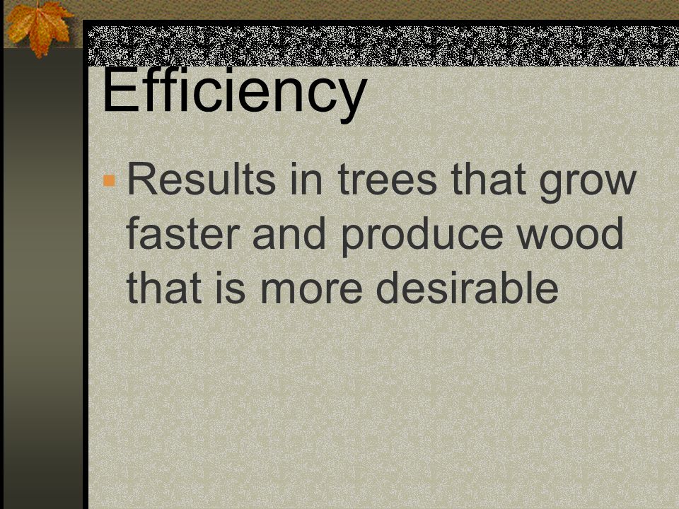 Efficiency Results in trees that grow faster and produce wood that is more desirable
