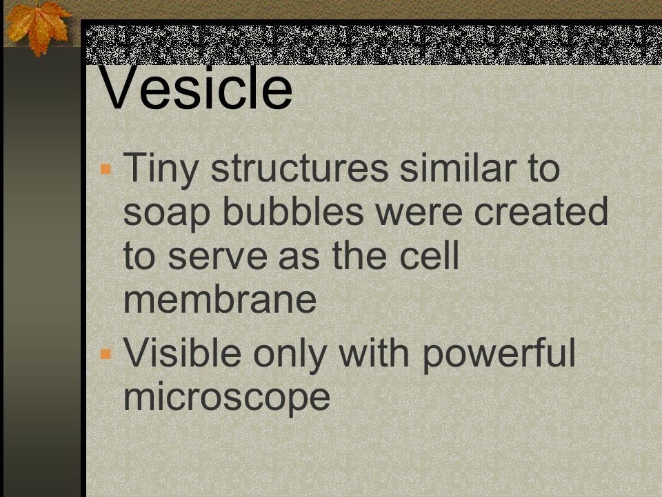 Vesicle Tiny structures similar to soap bubbles were created to serve as the cell membrane.