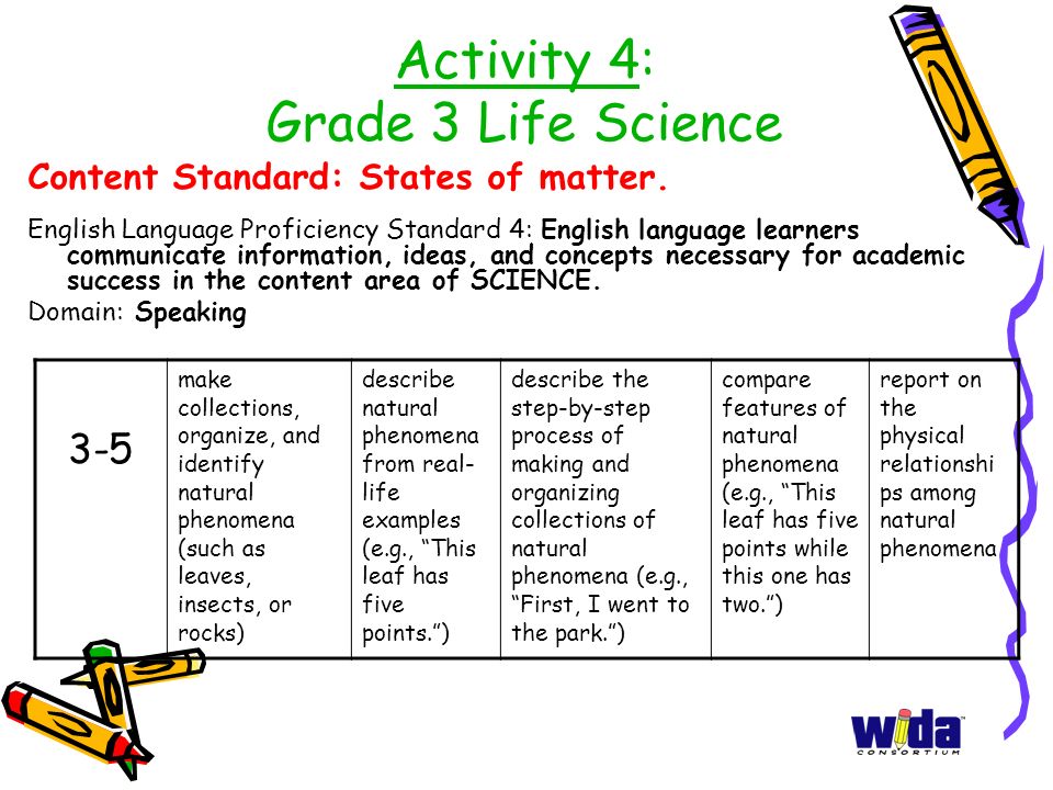 Activity 4: Grade 3 Life Science