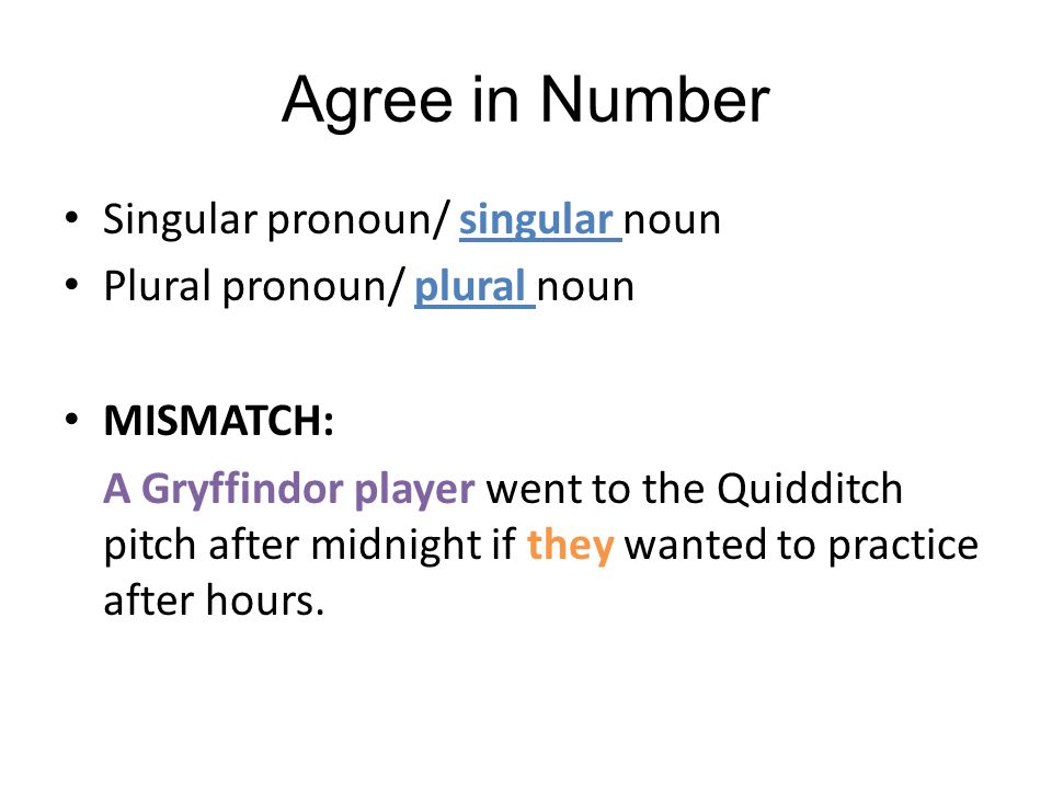 Agree in Number Singular pronoun/ singular noun