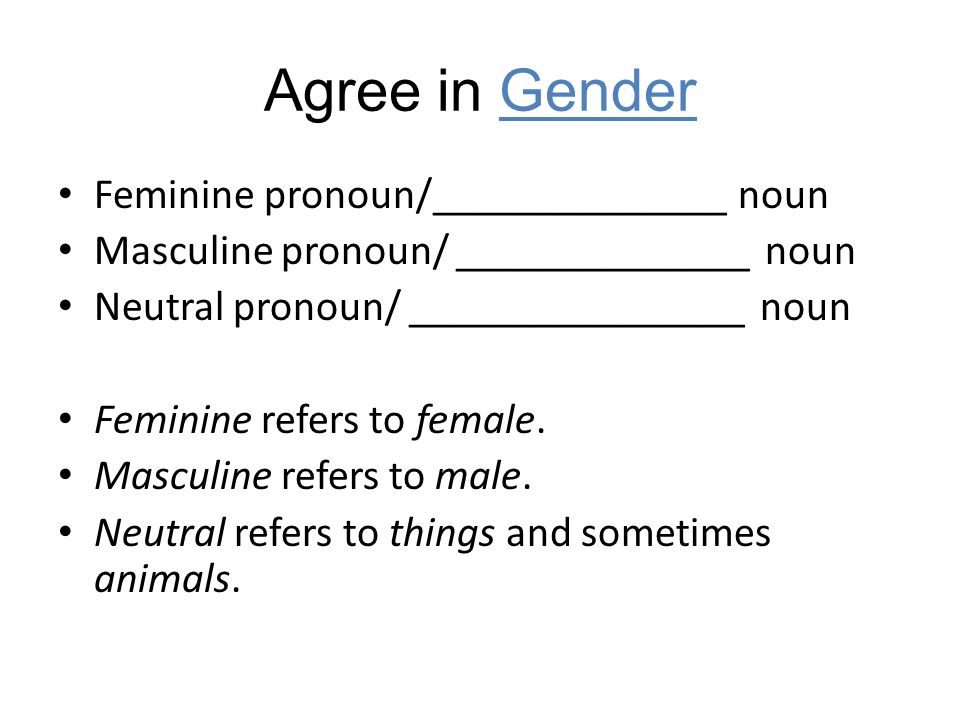 Agree in Gender Feminine pronoun/______________ noun
