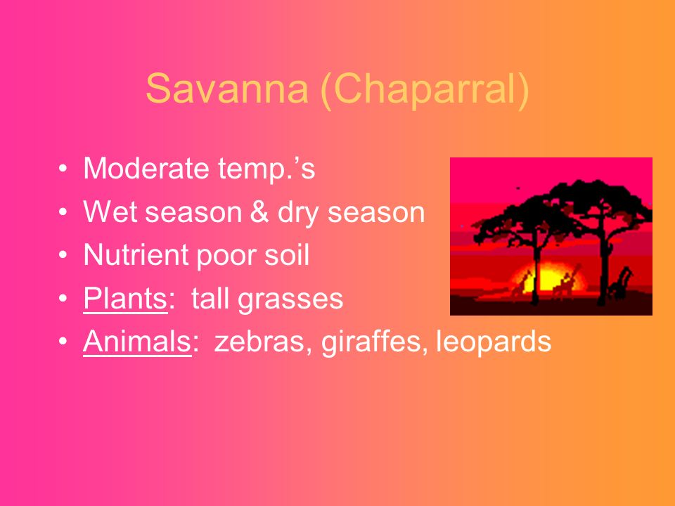 Savanna (Chaparral) Moderate temp.’s Wet season & dry season