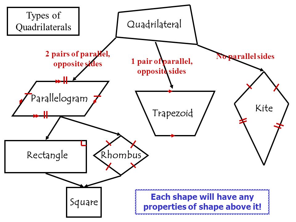 Quadrilateral Parallelogram Kite Trapezoid Rectangle Rhombus Square