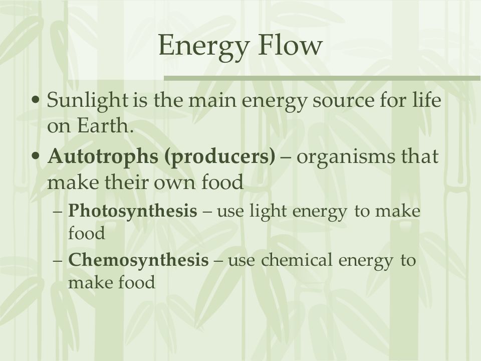 Energy Flow Sunlight is the main energy source for life on Earth.