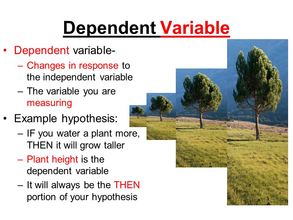 Dependent Variable Dependent variable- Example hypothesis: