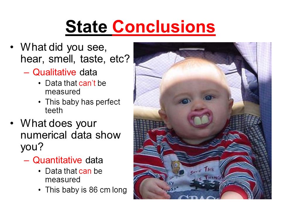 State Conclusions What did you see, hear, smell, taste, etc
