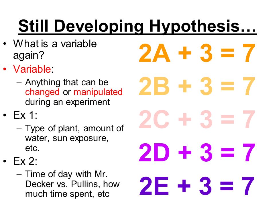 Still Developing Hypothesis…