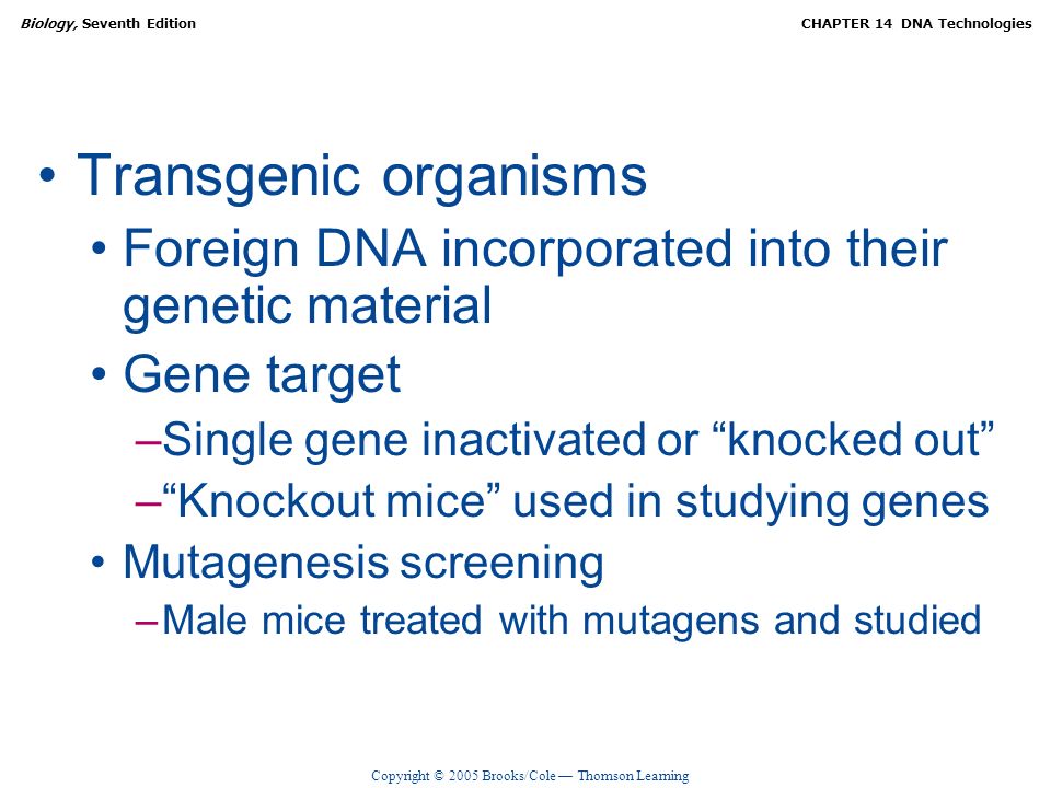 Transgenic organisms Foreign DNA incorporated into their genetic material. Gene target. Single gene inactivated or knocked out