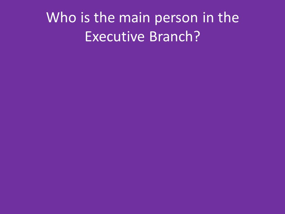 Who is the main person in the Executive Branch