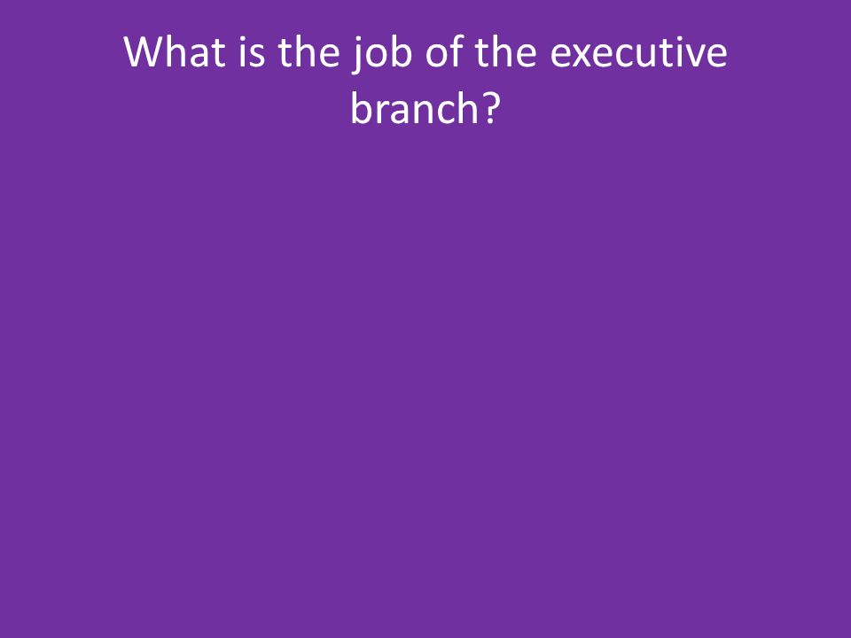 What is the job of the executive branch