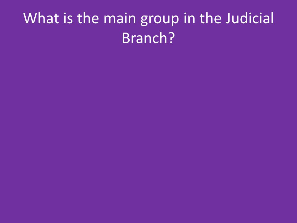 What is the main group in the Judicial Branch