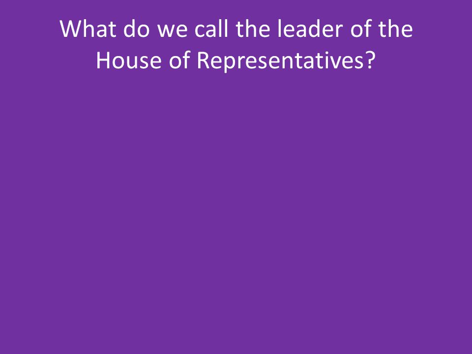 What do we call the leader of the House of Representatives
