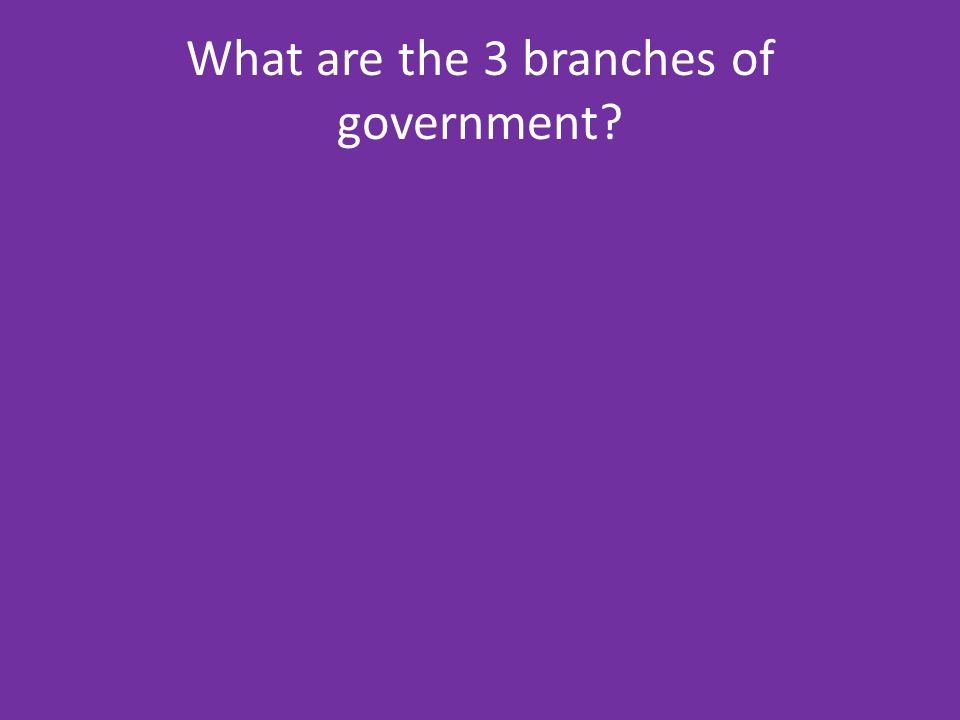 What are the 3 branches of government