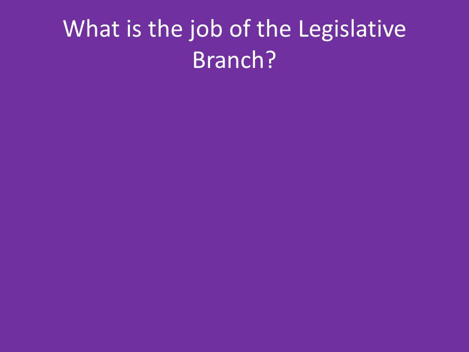 What is the job of the Legislative Branch