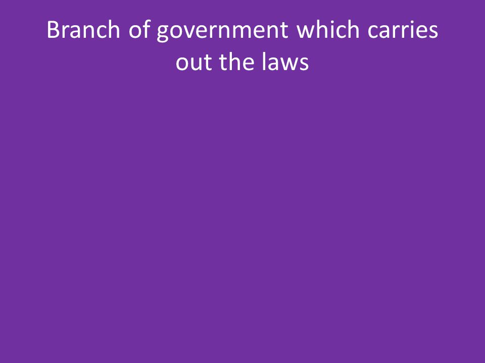 Branch of government which carries out the laws