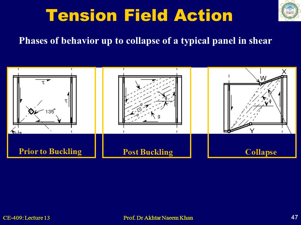 Phases of behavior up to collapse of a typical panel in shear