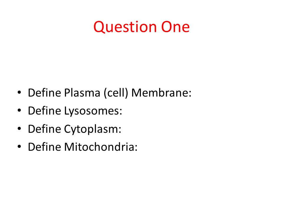 Question One Define Plasma (cell) Membrane: Define Lysosomes: