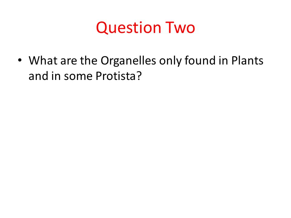 Question Two What are the Organelles only found in Plants and in some Protista