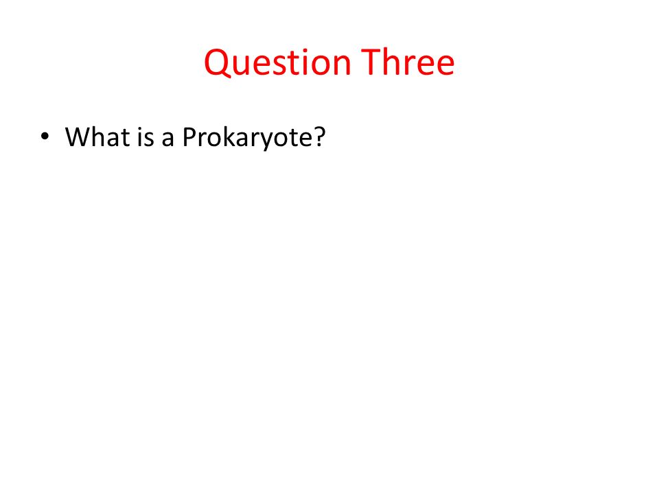 Question Three What is a Prokaryote