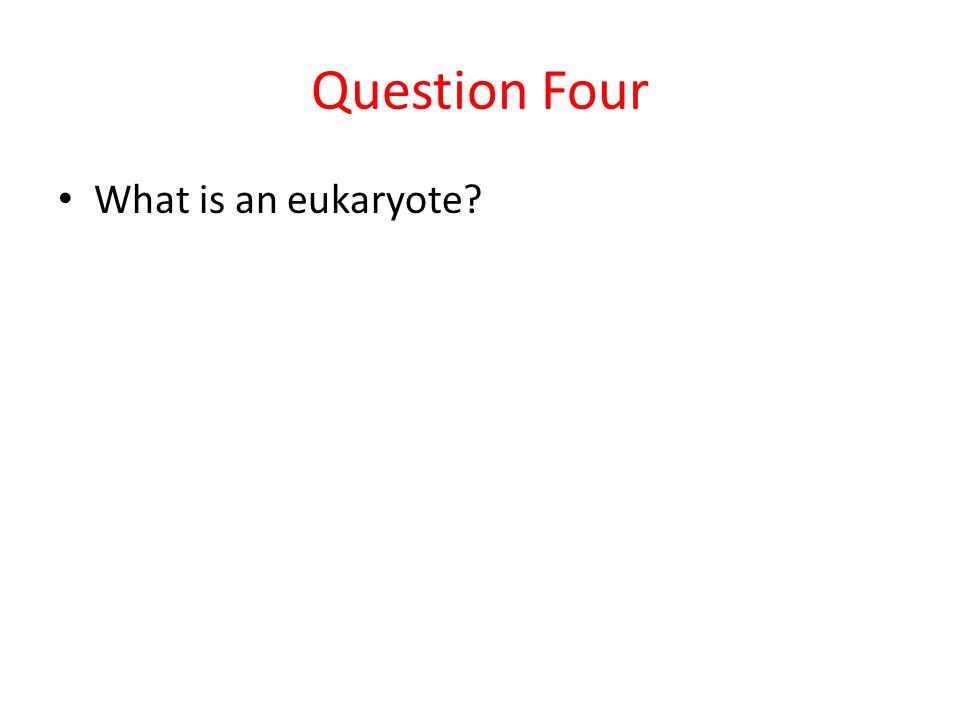 Question Four What is an eukaryote